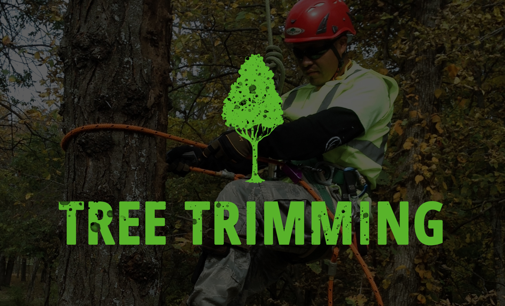 Tree Trimming Eastvale Ca